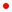 Novedad