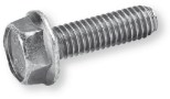 TOR1010030Z692.jpg