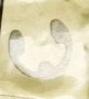 1708737Y_Circlip.jpg