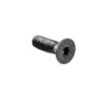 412466_Tornillo.jpg