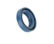 5168241_Anillo_Cierre.jpg