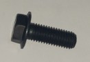 5194169_Tornillo.jpg