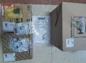 710177114_Kit_Faros.jpg