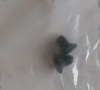 84407428.jpg