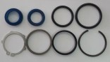 CAS-1547402C1.jpg