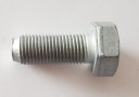 CAS-16326234.jpg