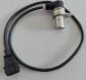 CAS-5162472.jpg