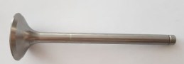 CAS-B513026.jpg