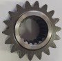Cas-5182638.jpg