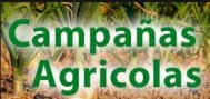 Campanas_Agricolas.jpg