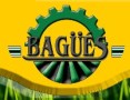 Bagues.jpg