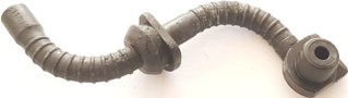 HOM81-0953.jpg