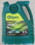 OLIPES_7106705.jpg