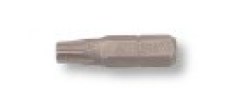 PALMERA-535640.jpg